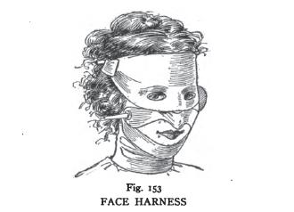 face harness