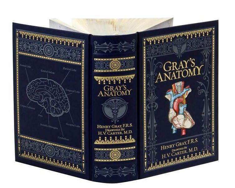 Анатомия грея книга. Grey's Anatomy книга. Анатомия Грея Крига. Анатомия Грейс книга.